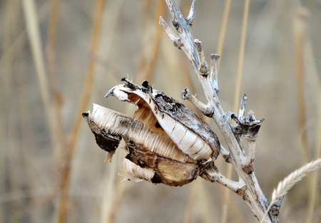 Broken, a photo by Sue Lawrence